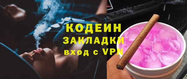 прущие грибы Абаза