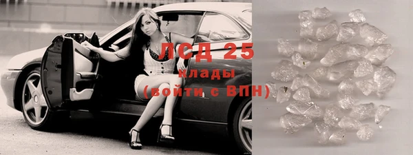 прущие грибы Абаза