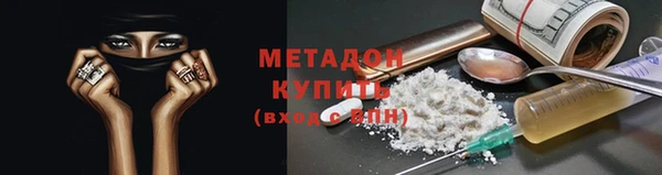 прущие грибы Абаза