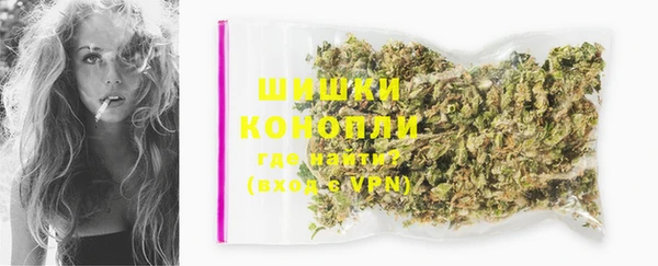 прущие грибы Абаза